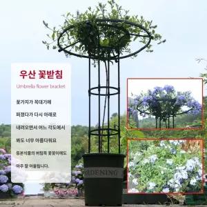 꽃걸이 랙 넝쿨 거치대 우산형 원형 장미 등나무꽃 원예