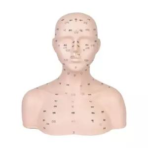 마사지 마네킹 경혈 연습 얼굴혈위 혈자리 실습용 미용 피부 경락마사지 피부관리 교구