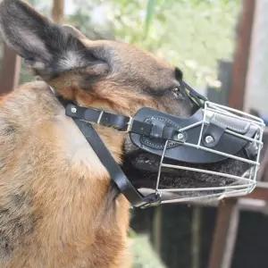 펫가드 스틸 강아지 입마개 XL 블랙큰사이즈 개입 애견 애완 반려 벨트형 마스크 검정