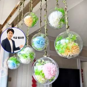 지금 필요한 투명아크릴볼 12cm 하트 플라스틱 1P 아크릴볼 투명캡슐 투명공