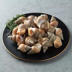 [작심밀도]울진직송 백고동(중) 1.5kg