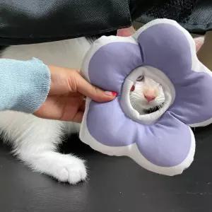 반려동물 쿠션 넥카라 꽃 퍼플 S 고양이깔대기애견 카라 깔때기 강아지칼라 깔대기 중성화