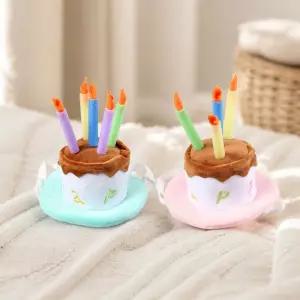 반려동물 생일파티 고깔모자 강아지 케이크 용품털 고양이 견모자 겨울옷