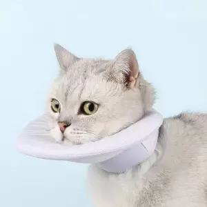 반려동물 넥 카라 강아지 고양이 핥음 보호대 깔대기 수술복 턱받이 용품 상처 회복핥음방지