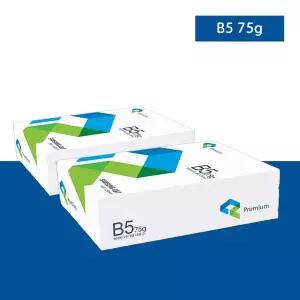 삼성 프리미엄 복사용지 B5 75g 500매 X 2개