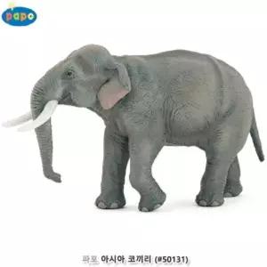 파포 (모형완구) 아시아 코끼리 (50131)동물장난감 인형 피규어 규어 교구