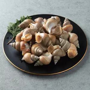 [작심밀도]울진직송 백고동(소) 1.5kg