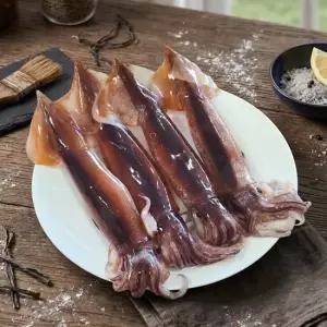 제주특선 손질 초코 오징어 2kg 1kgx2팩 팩당3 4마리) 뼈 내장제거