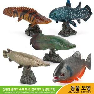 심해어 교육용 모형 악어 가르피쉬 관상어 고체형 수출용 정적 인형