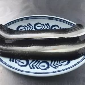[지투지샵]국내산 자포니카 민물장어 2미 손질후중량 650g
