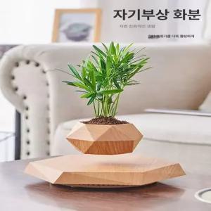 나무색 거치대 공중부양 공중 선물용 식물 인테리어 회전