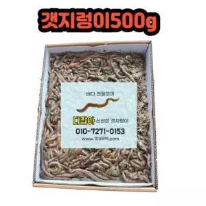 생물 갯지렁이 청개비 500g 낚시 미끼 낚시미끼 통발