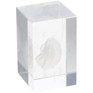 라벨이 있는 투명 3D 인간 두뇌 크리스탈 유리 큐브 해부학 모형 가정 및 사무실 장식