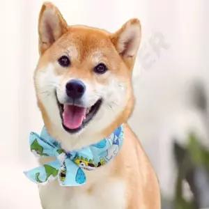 강아지 고양이 쿨스카프 아이스 넥쿨러 얼음 넥밴드 산책 쿨감스카프 소형견 재사용 중형견 여름 냉각목도