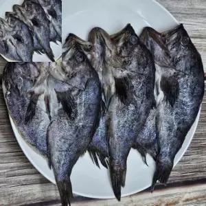 바다횟감 9미 반건조 우럭 자연건조 기획전 포장 생선가공 프리미엄