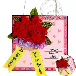 DIY만들기 만들기키트 감사카드 스칸디아모스 카네이션 엽서걸이