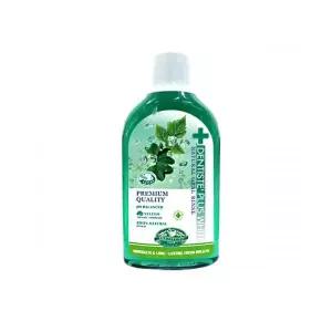 덴티스테 내츄럴 오랄린스 가글 700ml