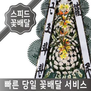 대전 화환 근조화환 축하 개업 결혼 결혼식 장례식장 3단 조의 조문 꽃배달