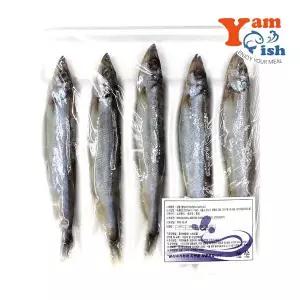 시사모 500g (25미) 시샤모 열빙어