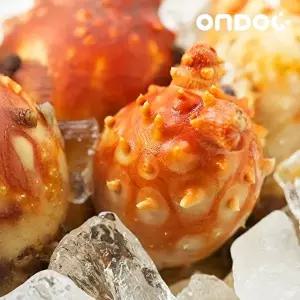 [온도씨][온도씨]경남 통영 산지직송 활멍게(1kg)