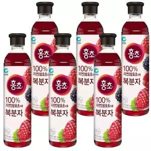 생활 블루베리 홍초 대상 청정원 복분자 900ml x 6개입 수앤서C1
