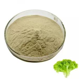 상추추출분말 100g 샘플