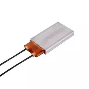 발열체 헤어 드라이어 액세서리 컬러 히터 80-220도 PTC 220V/12V 어댑터 가금류 부화기 2개