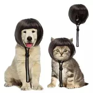 애완동물 앞머리 가발 강아지 단발 고양이 귀를 드러내는 휴일 파티 및 역할극에 적합합니다