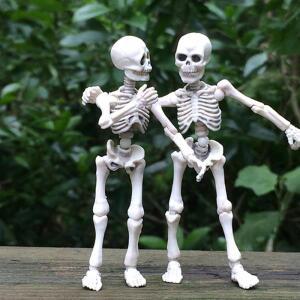 의대생 Mr. Bones 해골 인체 모델, 전신 미니 피규어 장난감, 할로윈 F29 20, 직송