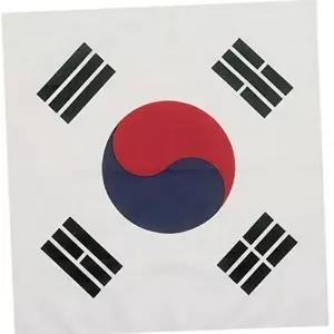 대형 태극기 응원용 응원 기념 손수건 용-WFOJQH6