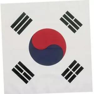대형 태극기 응원용 응원 기념 손수건 용-WFOJQH6