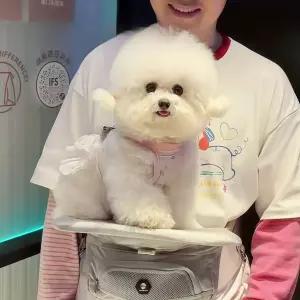 강아지 힙시트 반려견 캐리어 슬링백 휴대용 가방 애견 고양이 의자 펫 캠핑용 경량 야외용