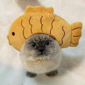 고양이 강아지 머리띠 모자 반려동물 붕어빵