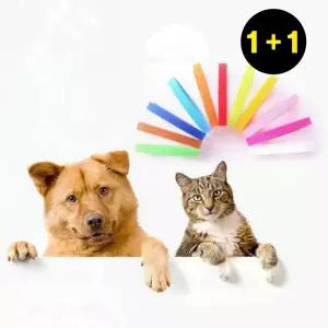 (1+1) 강아지 목걸이 인식표 고양이 탯줄 컬러 새끼 강아지 산책 훈련 목줄 PET