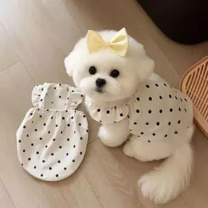 BNP_1018 땡땡이 프릴 도트 패턴 원피스 반려동물옷여름강아지 귀여운 실내복 애견나시티 리본 플리츠 셔츠