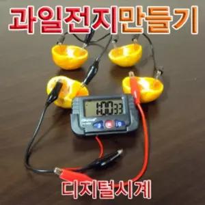 향앤미과학 과일 전지 만들기 디지털 시계 1인용교구 실험 키트 학습 교재 교육용