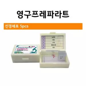 신경세포 뇌구조 미세관찰용 현미경표본 5종 세트 홈스쿨 학습도구 중학교 프레파라트