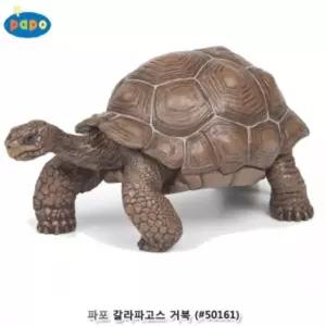 파포 동물 모형완구 갈라파고스 거북피규어 프라모델 규어 장난감 거북이