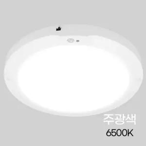 원형 LED 센서등 라이트 10인치 20W 주광 in-412229복도등 계단등 조명등 실내등 베란다등 주차장등 복도등