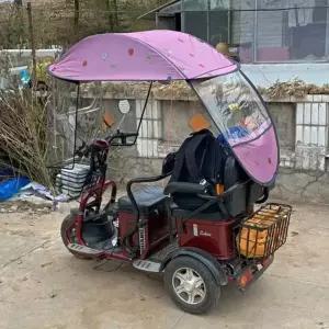 노인 전동차 장애인 햇빛 바람막이 자외선차단 그늘막 덮개 우산 캐노피 고정 측면 차양 - 다크네이비 돌핀 - 거울 포함