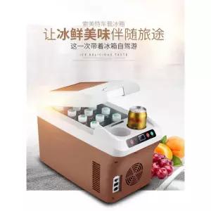 차박용 냉장고 아이스박스 디지털 차량용 12L 모델 갈색 LCD