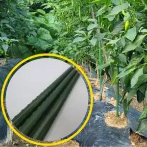 5개 60cm 굵은 고추대 토마토 식물 고추 줄기 지지대