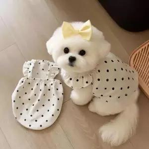 강아지 땡땡이 프릴 도트 패턴 원피스 반려동물 옷 강아지옷