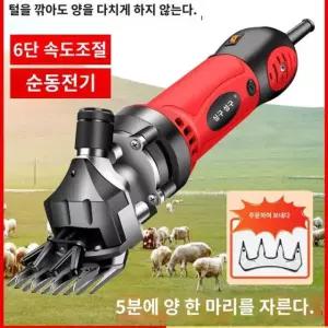 이 세트 전동 애견 양털 직선칼 깍이 깎기 바리깡
