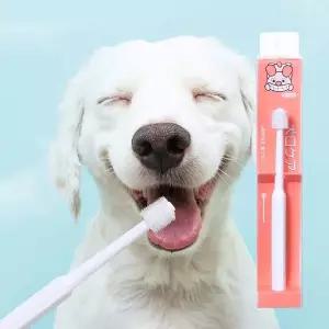 양치 원형 강아지고양이원형칫솔 개칫솔 구강관리 고양이잇몸관리
