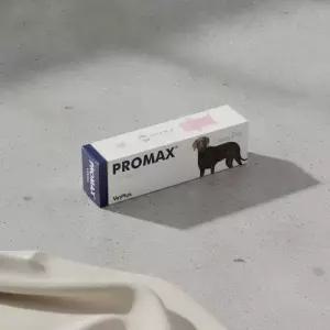 벳플러스 프로맥스 대형견 강아지 유산균 장 건강 영양제 30ml
