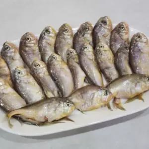 자연가득 때깔좋고 선도좋은 당일급냉 황석어 500g 30미내외