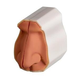 자석 인체 비강 해부 모형, 호흡기과 의료용 교육 보조기구, 구조를 보여줌