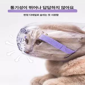 고양이 입마개 마스크 헬멧 보호 투명 물림방지