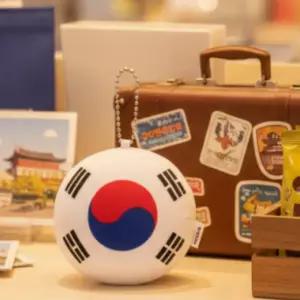 대한민국 태극기 쿠션 키링 응원용품 축구 야구 국가대표 굿즈 가방 장식 인형 기념품